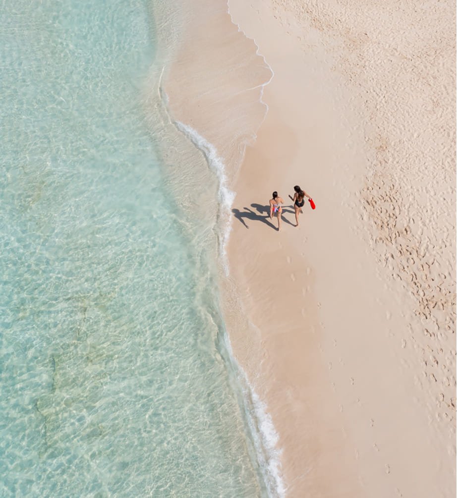 ترافكو العقارية